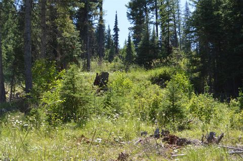 Tiny photo for NHN Logan Creek Road, Whitefish, MT 59937 (MLS # 30054124)