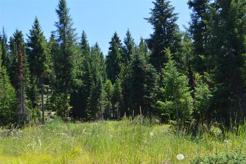 Tiny photo for NHN Logan Creek Road, Whitefish, MT 59937 (MLS # 30054124)