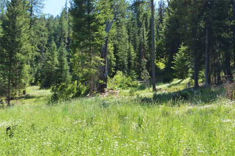 Tiny photo for NHN Logan Creek Road, Whitefish, MT 59937 (MLS # 30054124)
