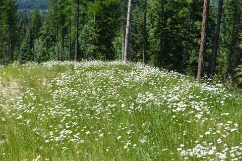 Tiny photo for NHN Logan Creek Road, Whitefish, MT 59937 (MLS # 30054124)