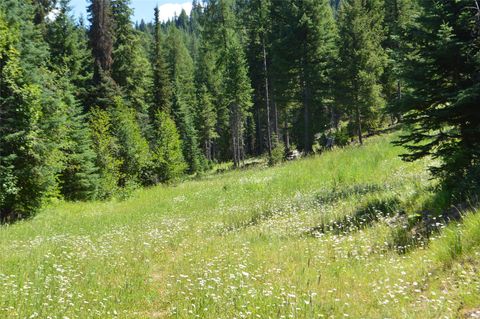 Tiny photo for NHN Logan Creek Road, Whitefish, MT 59937 (MLS # 30054124)