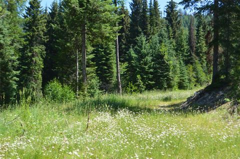 Tiny photo for NHN Logan Creek Road, Whitefish, MT 59937 (MLS # 30054124)