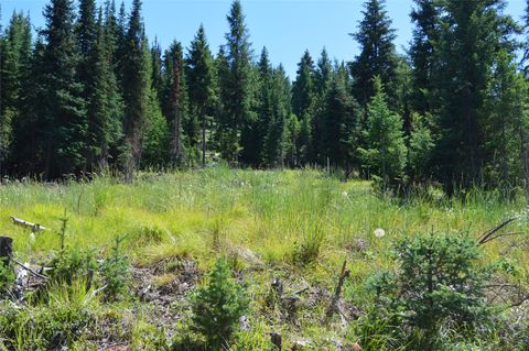 Tiny photo for NHN Logan Creek Road, Whitefish, MT 59937 (MLS # 30054124)
