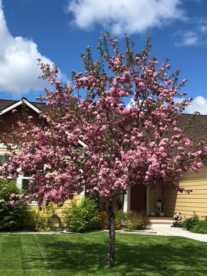 493 Darlene Drive