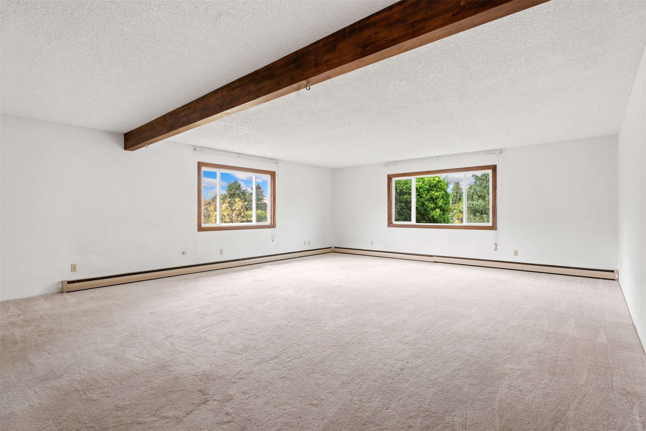 3700 Rattlesnake Drive
