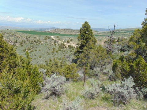 Tiny photo for TBD Lone Wolf Trail, Three Forks, MT 59752 (MLS # 30073879)