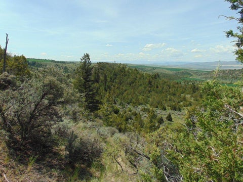 Tiny photo for TBD Lone Wolf Trail, Three Forks, MT 59752 (MLS # 30073879)