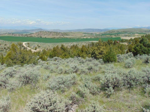 Tiny photo for TBD Lone Wolf Trail, Three Forks, MT 59752 (MLS # 30073879)