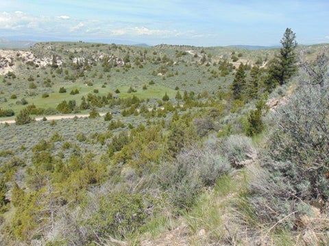 Tiny photo for TBD Lone Wolf Trail, Three Forks, MT 59752 (MLS # 30073879)