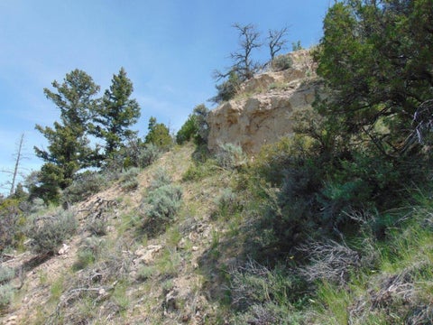 Tiny photo for TBD Lone Wolf Trail, Three Forks, MT 59752 (MLS # 30073879)