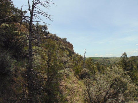 Tiny photo for TBD Lone Wolf Trail, Three Forks, MT 59752 (MLS # 30073879)