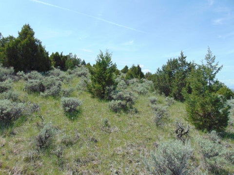 Tiny photo for TBD Lone Wolf Trail, Three Forks, MT 59752 (MLS # 30073879)