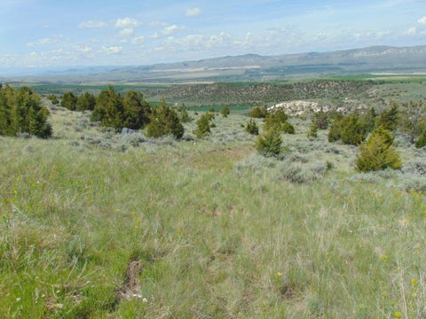 Tiny photo for TBD Lone Wolf Trail, Three Forks, MT 59752 (MLS # 30073879)