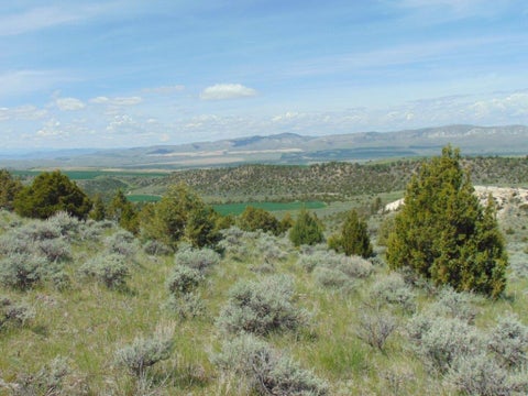 Tiny photo for TBD Lone Wolf Trail, Three Forks, MT 59752 (MLS # 30073879)