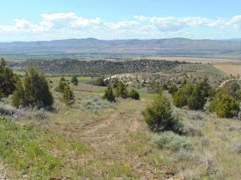 Tiny photo for TBD Lone Wolf Trail, Three Forks, MT 59752 (MLS # 30073879)