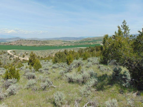 Tiny photo for TBD Lone Wolf Trail, Three Forks, MT 59752 (MLS # 30073879)