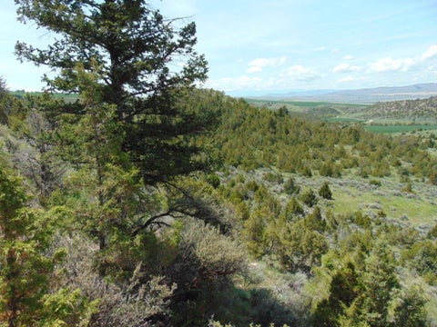 Tiny photo for TBD Lone Wolf Trail, Three Forks, MT 59752 (MLS # 30073879)