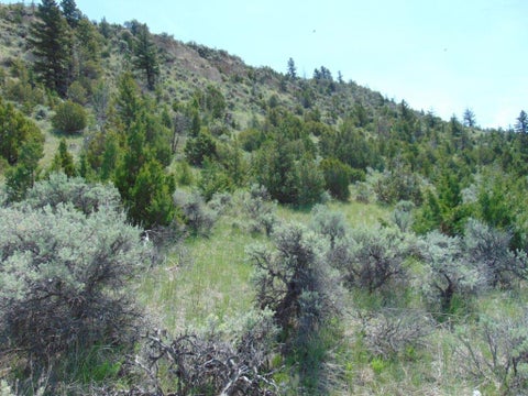Tiny photo for TBD Lone Wolf Trail, Three Forks, MT 59752 (MLS # 30073879)