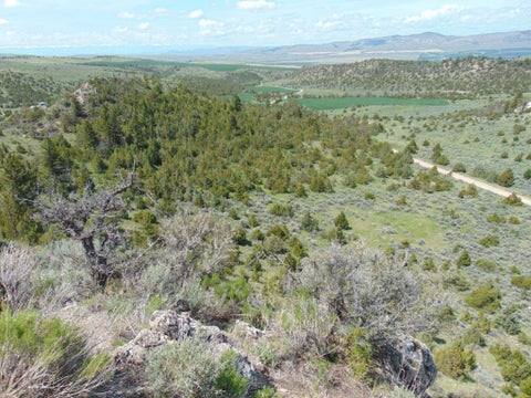 Tiny photo for TBD Lone Wolf Trail, Three Forks, MT 59752 (MLS # 30073879)