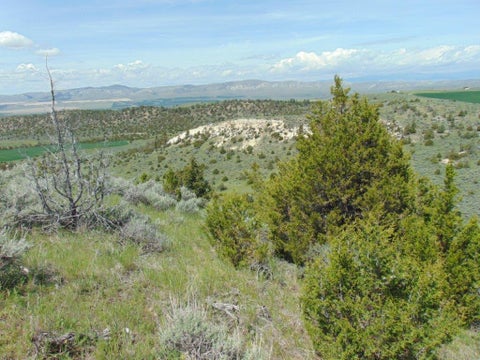 Tiny photo for TBD Lone Wolf Trail, Three Forks, MT 59752 (MLS # 30073879)