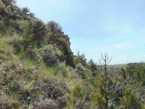 Tiny photo for TBD Lone Wolf Trail, Three Forks, MT 59752 (MLS # 30073879)