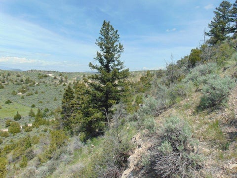 Tiny photo for TBD Lone Wolf Trail, Three Forks, MT 59752 (MLS # 30073879)