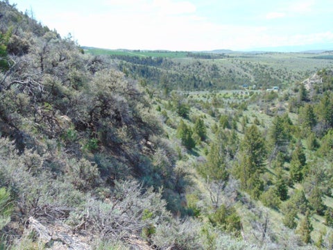 Tiny photo for TBD Lone Wolf Trail, Three Forks, MT 59752 (MLS # 30073879)