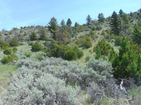 Tiny photo for TBD Lone Wolf Trail, Three Forks, MT 59752 (MLS # 30073879)