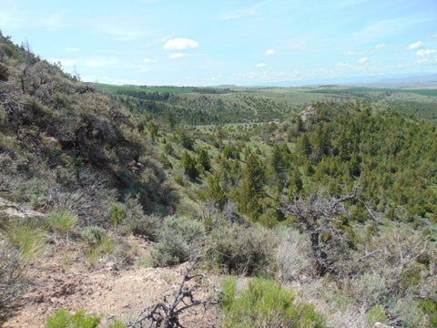 Tiny photo for TBD Lone Wolf Trail, Three Forks, MT 59752 (MLS # 30073879)