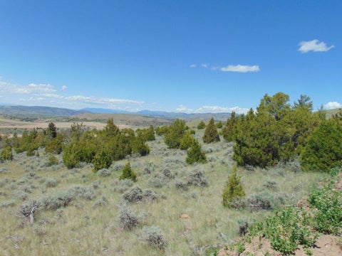 Tiny photo for TBD Lone Wolf Trail, Three Forks, MT 59752 (MLS # 30073879)