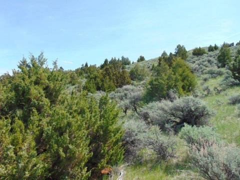 Tiny photo for TBD Lone Wolf Trail, Three Forks, MT 59752 (MLS # 30073879)