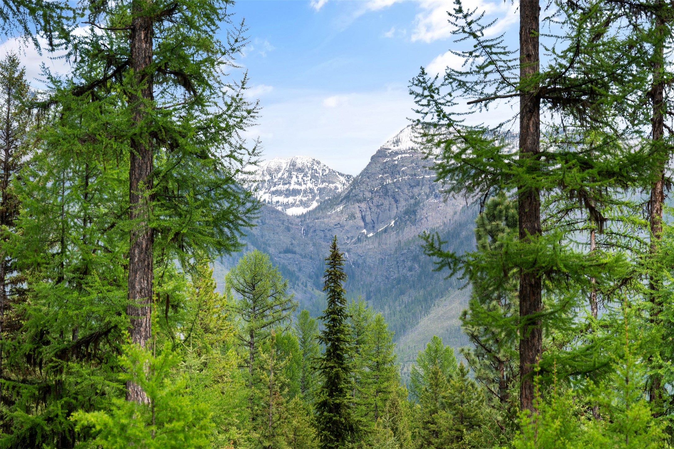 355 Tanager Trail