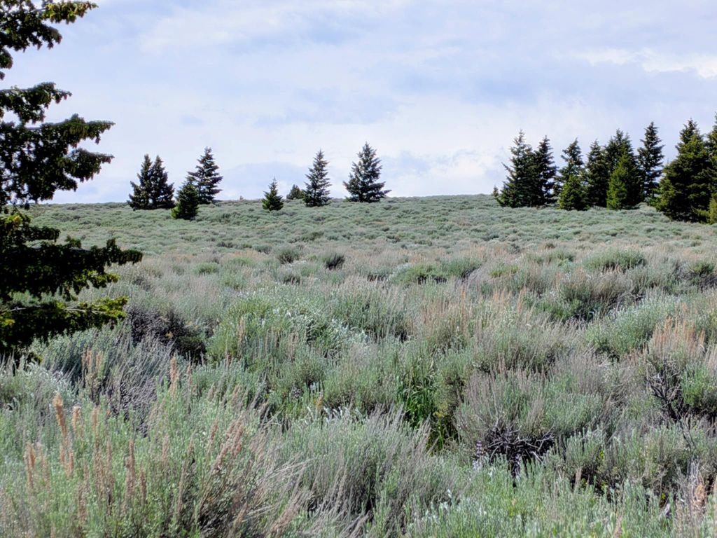 Photo of 127 Panorama Drive, White Sulphur Springs, MT 59645 (MLS # 30067813)