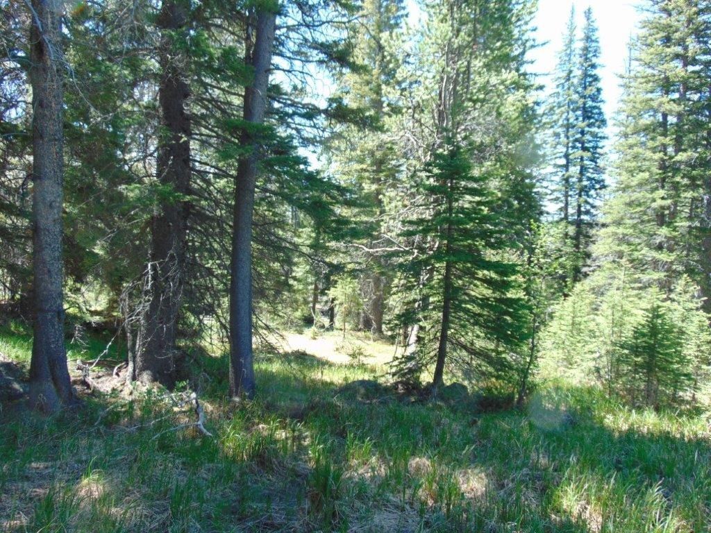 Photo of 122 Upper Andy Creek Lane, Cascade, MT 59421 (MLS # 30064164)