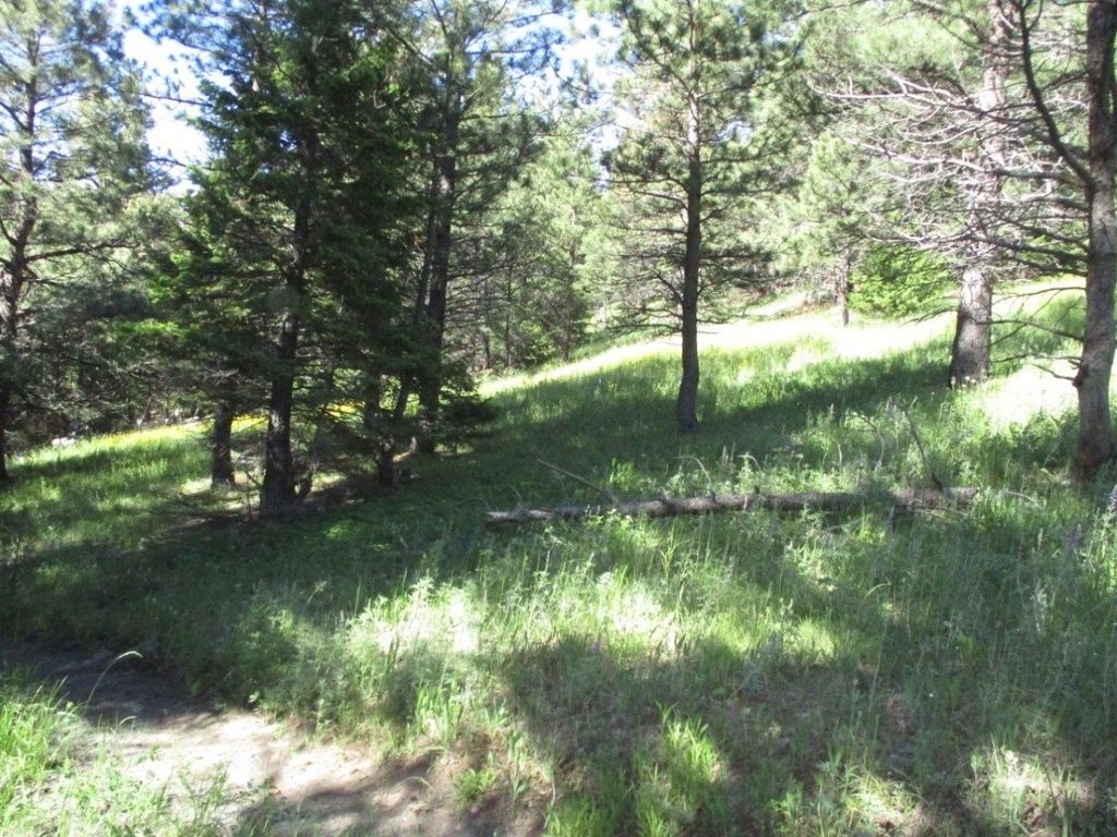 Photo of 122 Upper Andy Creek Lane, Cascade, MT 59421 (MLS # 30064164)