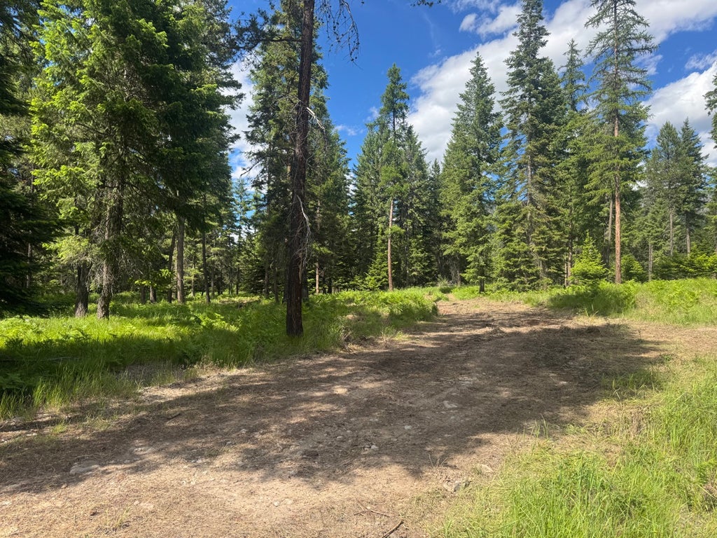 Photo of NHN Big Fir Drive, Thompson Falls, MT 59873 (MLS # 30072899)
