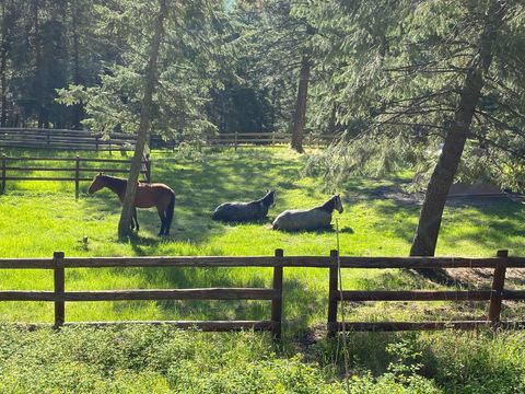 Tiny photo for 4332 Grave Creek Road, Eureka, MT 59917 (MLS # 30068553)