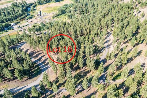 Lot 16 Stonefly Road Clinton MT 59825