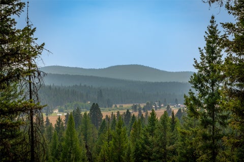 Tiny photo for 9653 Us Highway 2 W, Marion, MT 59925 (MLS # 30076546)