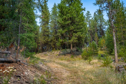 Tiny photo for 9653 Us Highway 2 W, Marion, MT 59925 (MLS # 30076546)