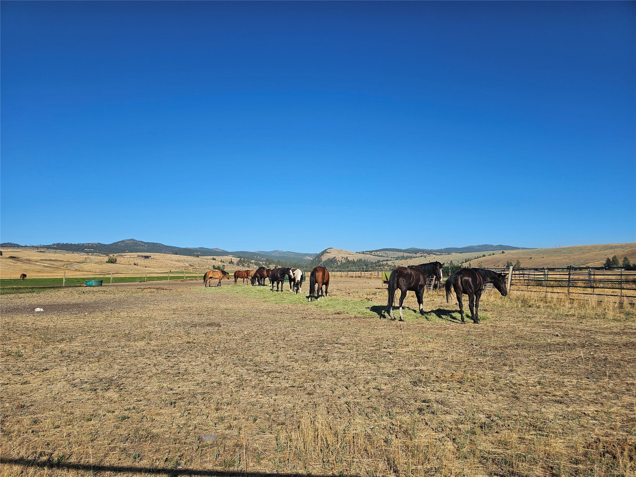NHN Farm View Lane