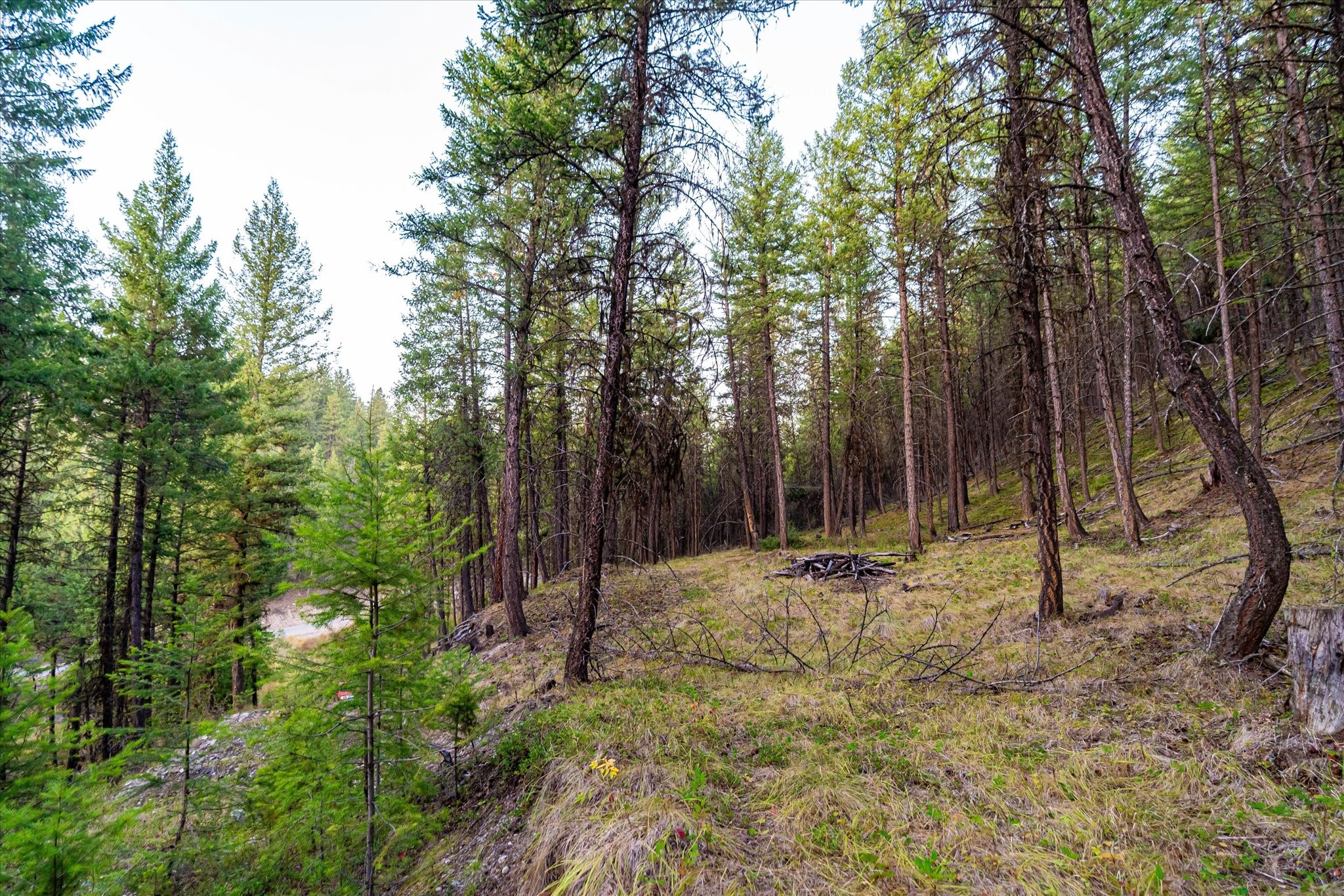 NHN Black Lake Road
