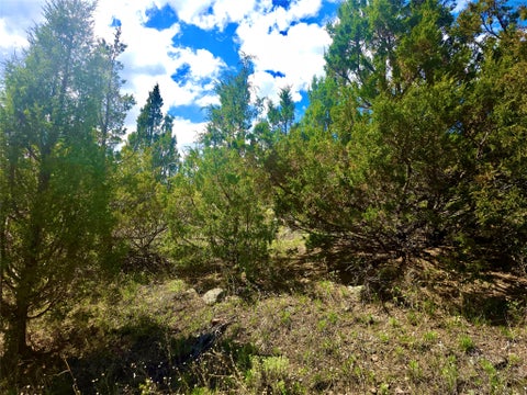 Tiny photo for Block 172 Lots 1-12 Wallace Street, Virginia City, MT 59755 (MLS # 30072481)