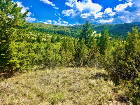 Tiny photo for Block 172 Lots 1-12 Wallace Street, Virginia City, MT 59755 (MLS # 30072481)
