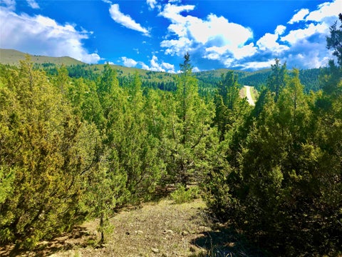 Tiny photo for Block 172 Lots 1-12 Wallace Street, Virginia City, MT 59755 (MLS # 30072481)