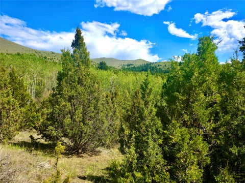 Tiny photo for Block 172 Lots 1-12 Wallace Street, Virginia City, MT 59755 (MLS # 30072481)