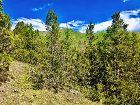 Tiny photo for Block 172 Lots 1-12 Wallace Street, Virginia City, MT 59755 (MLS # 30072481)
