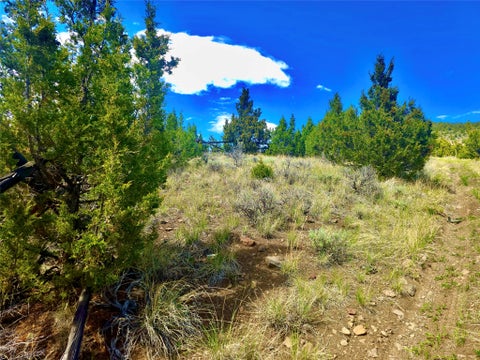 Tiny photo for Block 172 Lots 1-12 Wallace Street, Virginia City, MT 59755 (MLS # 30072481)