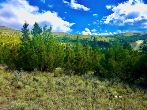 Tiny photo for Block 172 Lots 1-12 Wallace Street, Virginia City, MT 59755 (MLS # 30072481)