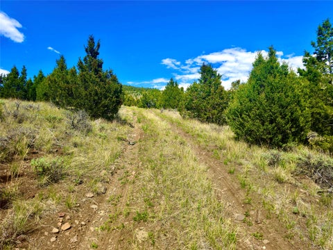 Tiny photo for Block 172 Lots 1-12 Wallace Street, Virginia City, MT 59755 (MLS # 30072481)